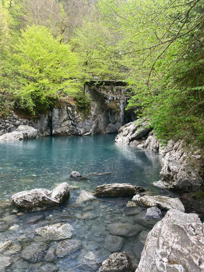 Appartement Rez-De-Chaussee, Cosy T3 4 A 6 Pers Avec Piscines Interieure & Exterieure A Samoens En Haute-Savoie 外观 照片